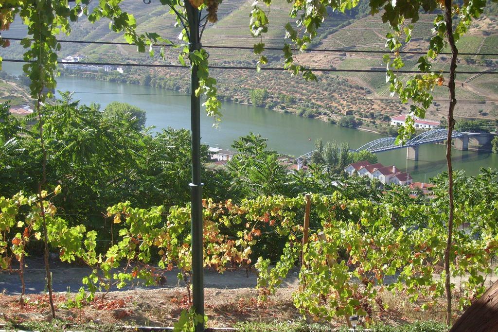 Quinta Da Galeira Villa Pinhão Værelse billede